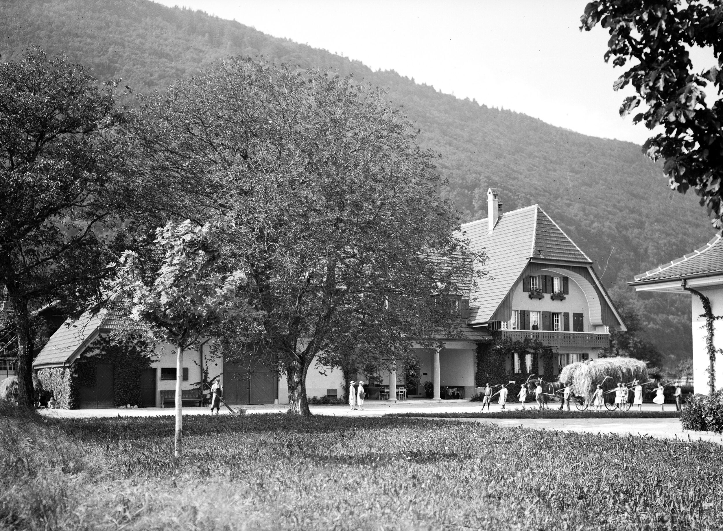 Bauernhaus | Sanierung | Statik